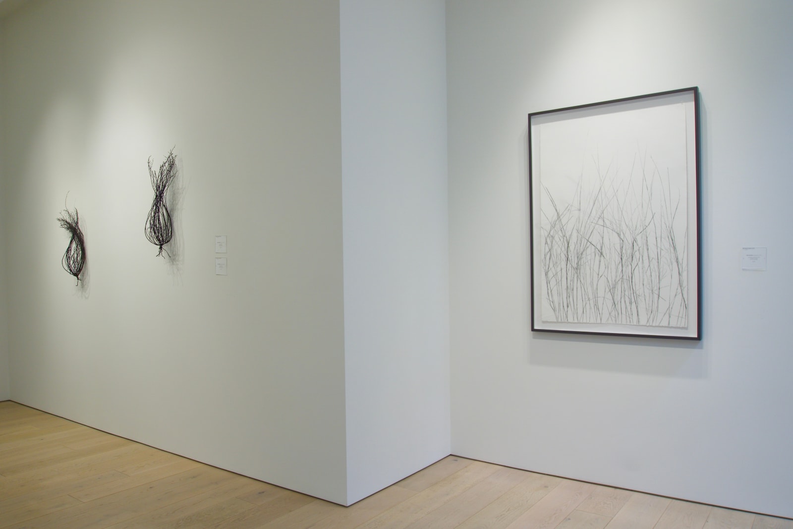 Linda Ridgway, Field #1, 2019