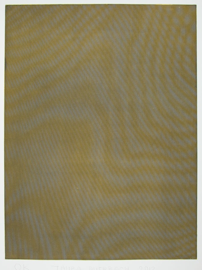 Tauba Auerbach, Mesh/Moire III, 2012