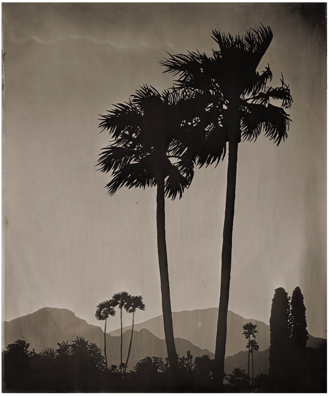 Vanessa Marsh, Palm Springs 23, from the series Further to Fly, 2021