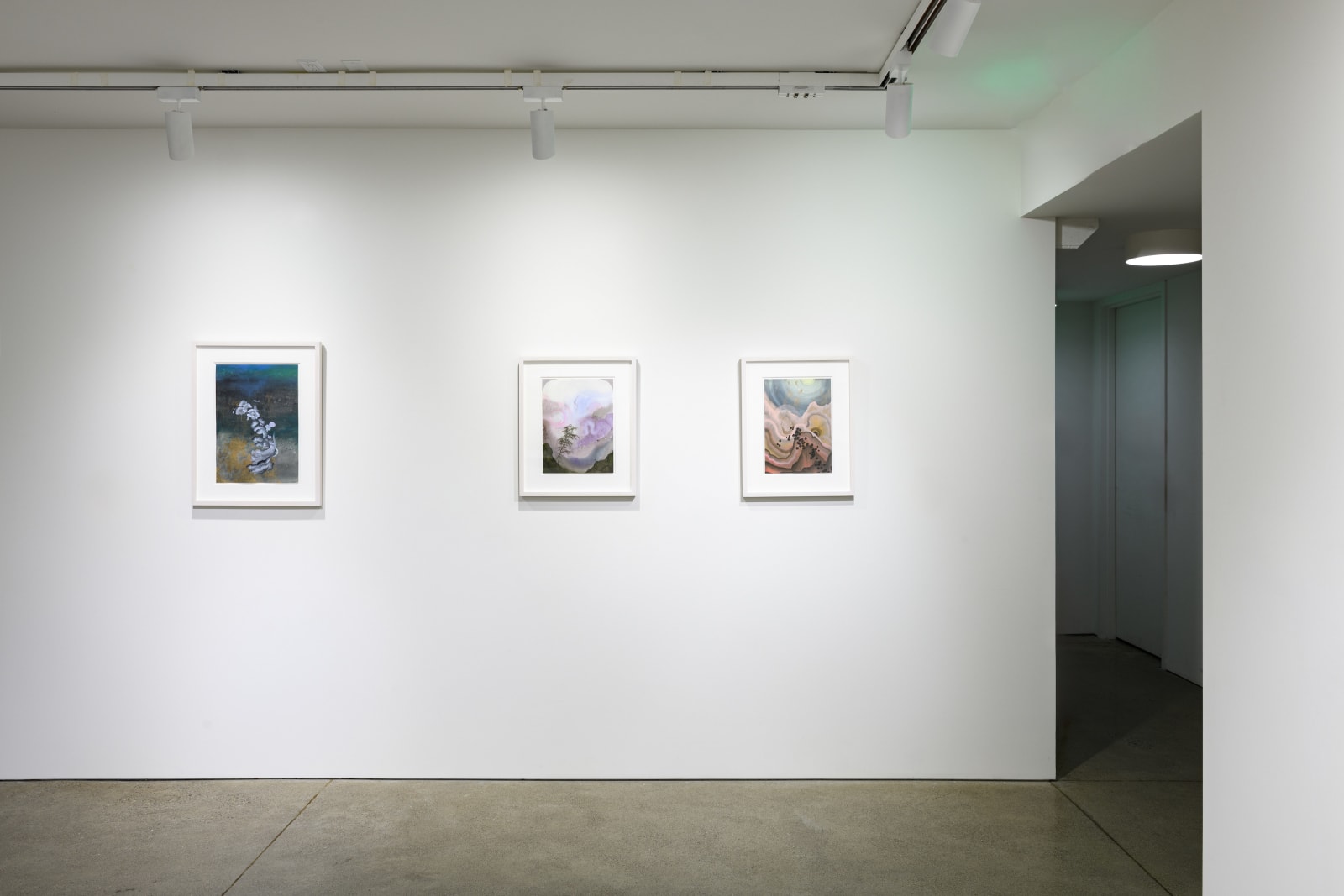 Darren Waterston, Illumination Study 1, 2024