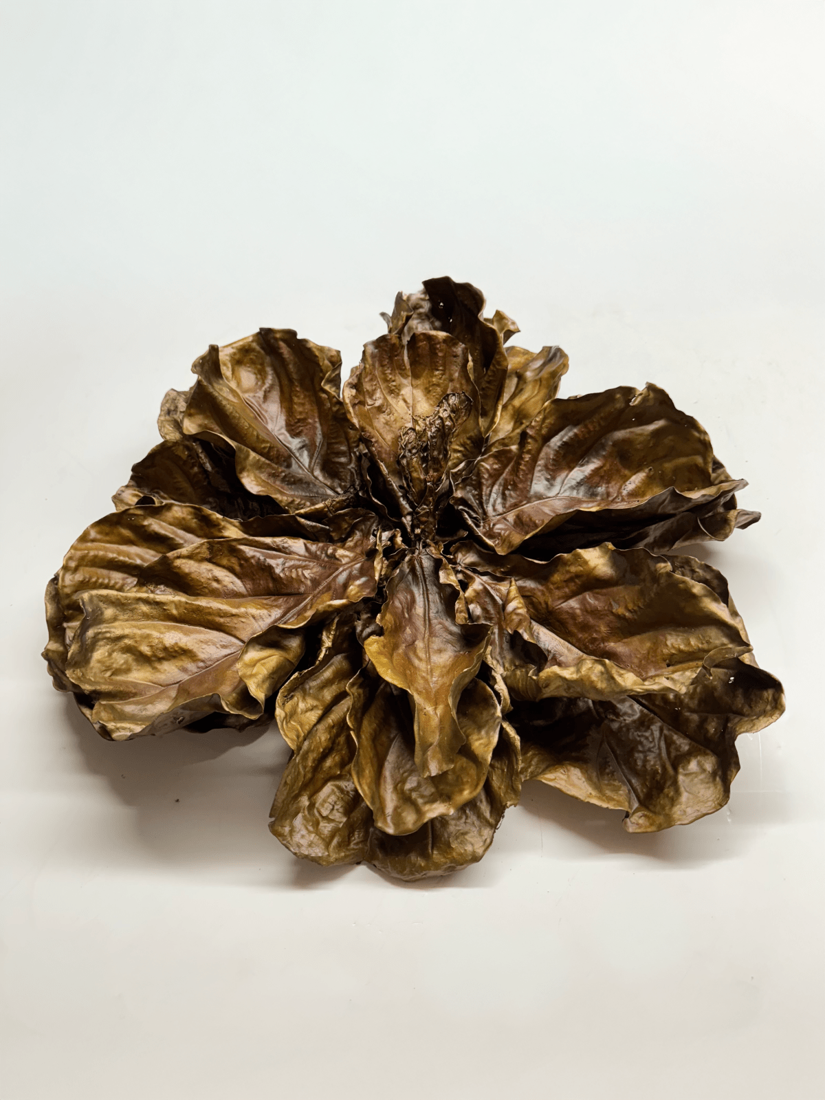 Linda Ridgway, In Bloom, 2025