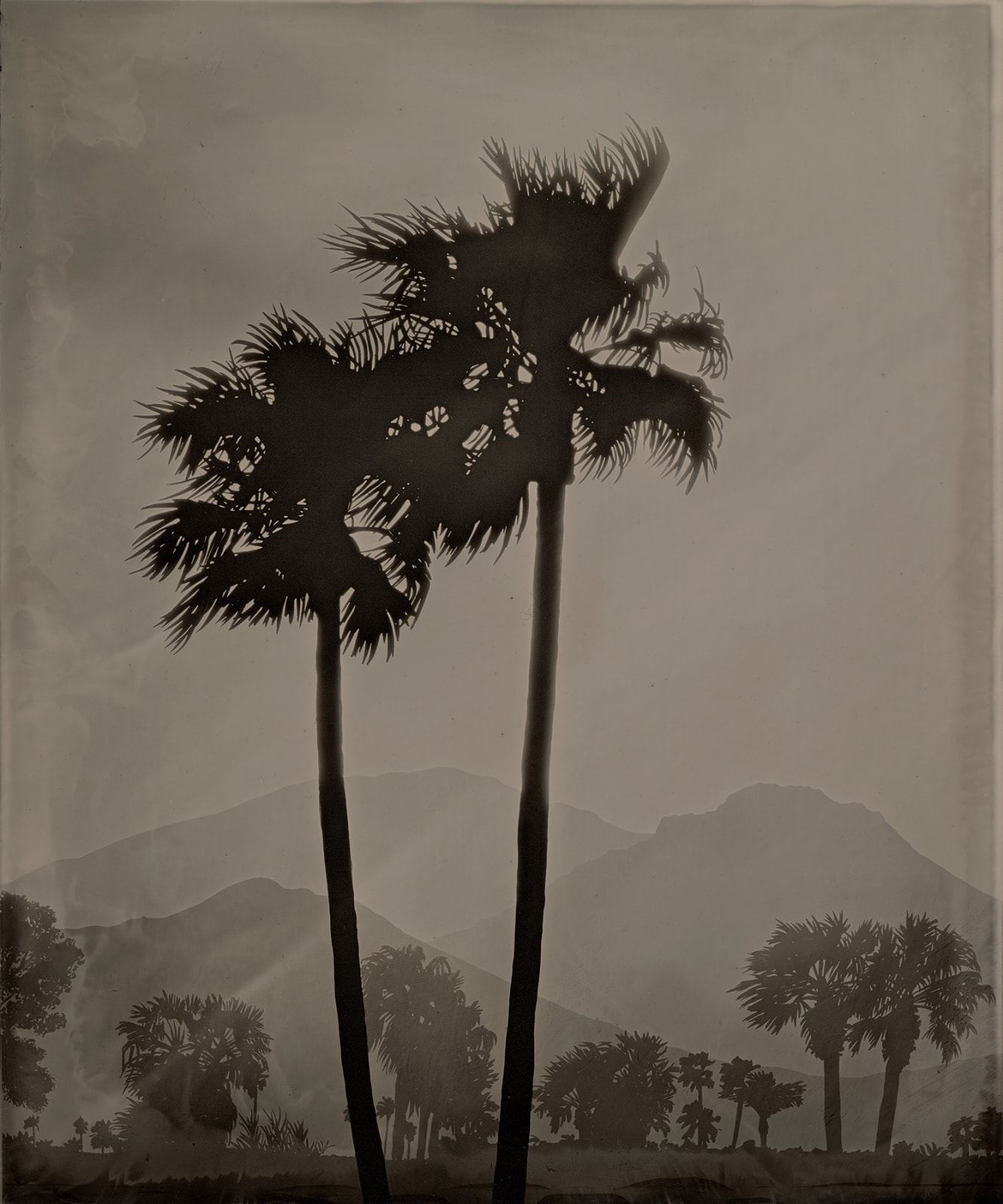 Vanessa Marsh, Palm Springs 7, 2021