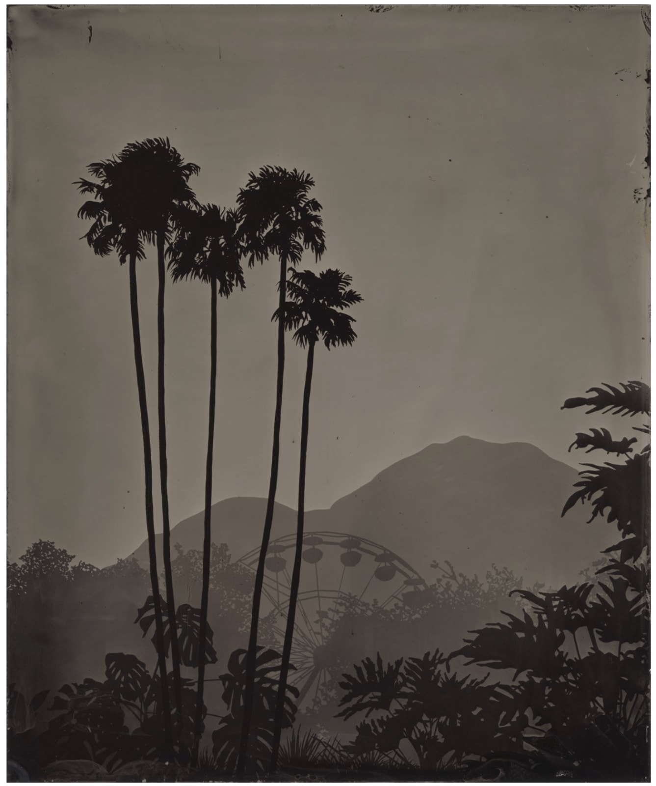 Vanessa Marsh, Palm Springs 44, from the series Further to Fly, 2025