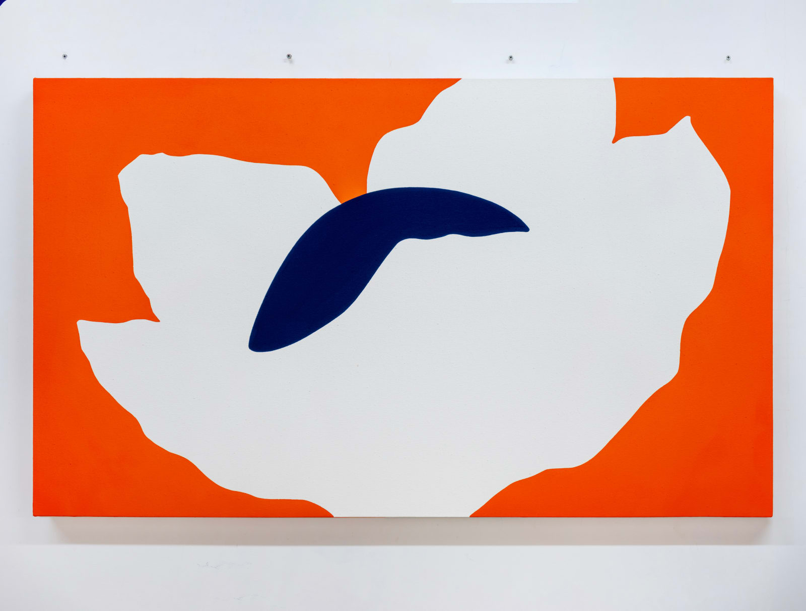 Paul Kremer, Bloom 24, 2024