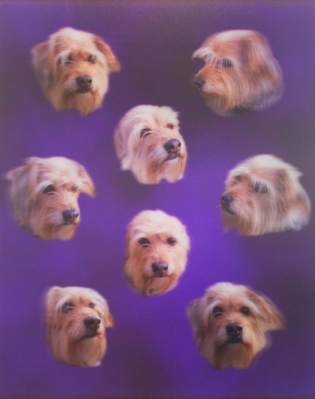 Grant Stevens, Misty , 2009