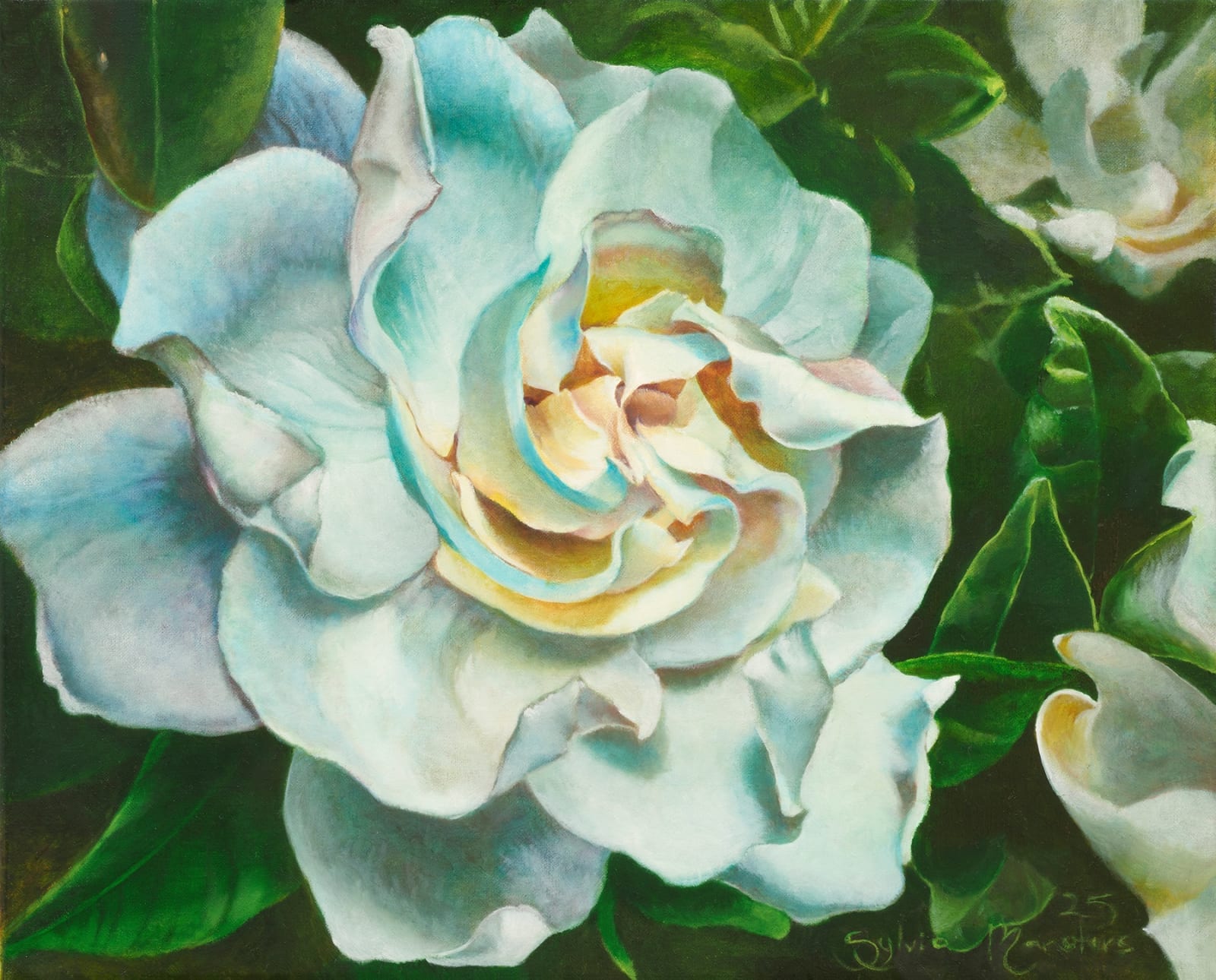Sylvia Marsters, Rei ónga (Illuminate), Gardenia, 2025