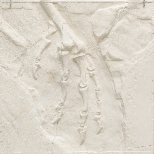 Andreas Greiner, Neopteryx Maquette AT, 2025