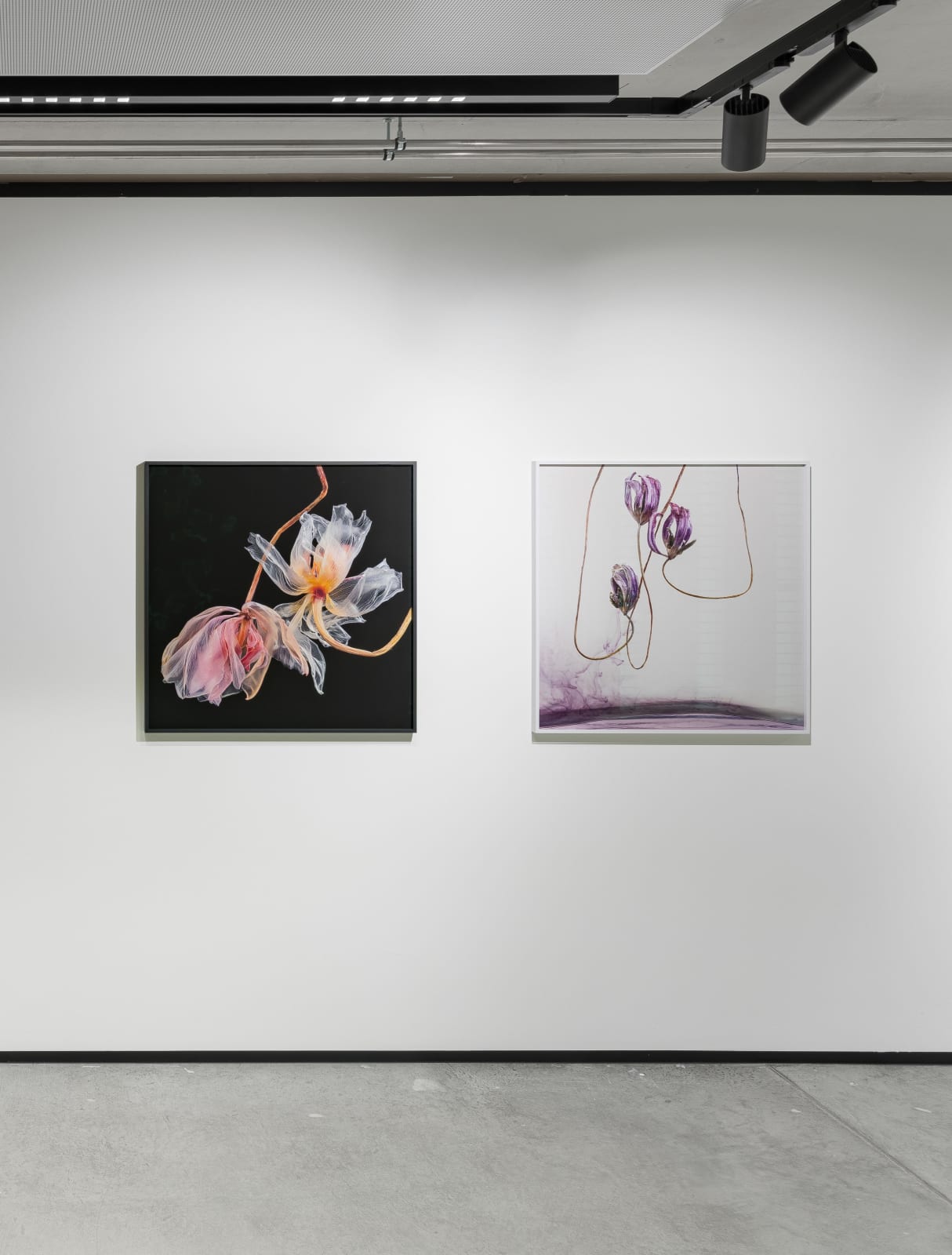 Kathrin Linkersdorff, Fairies I/5, 2020