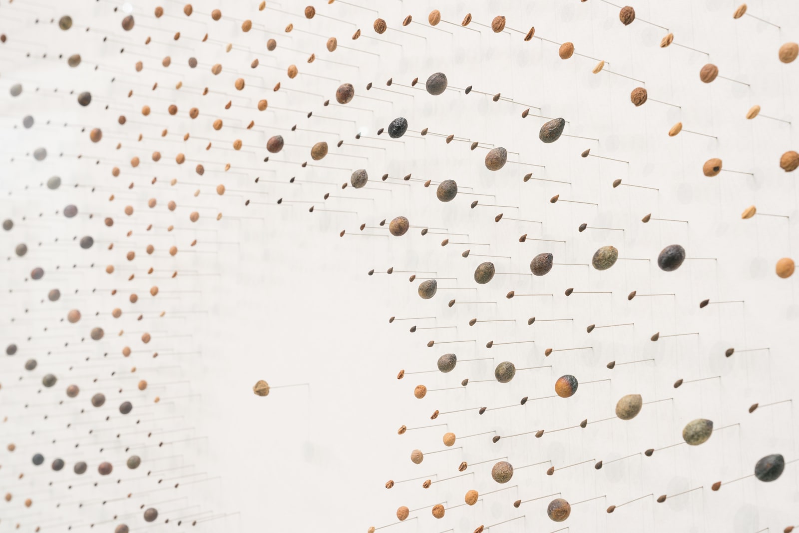 Andreas Greiner, 1710, 2025