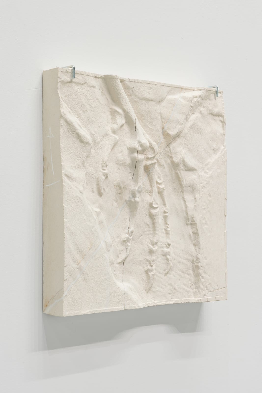 Andreas Greiner, Neopteryx Maquette AT, 2025