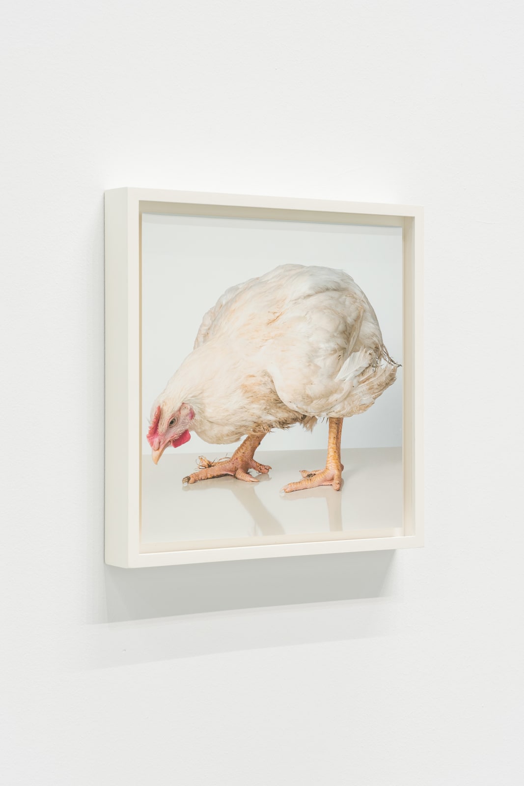 Andreas Greiner, Heinrich, 2015