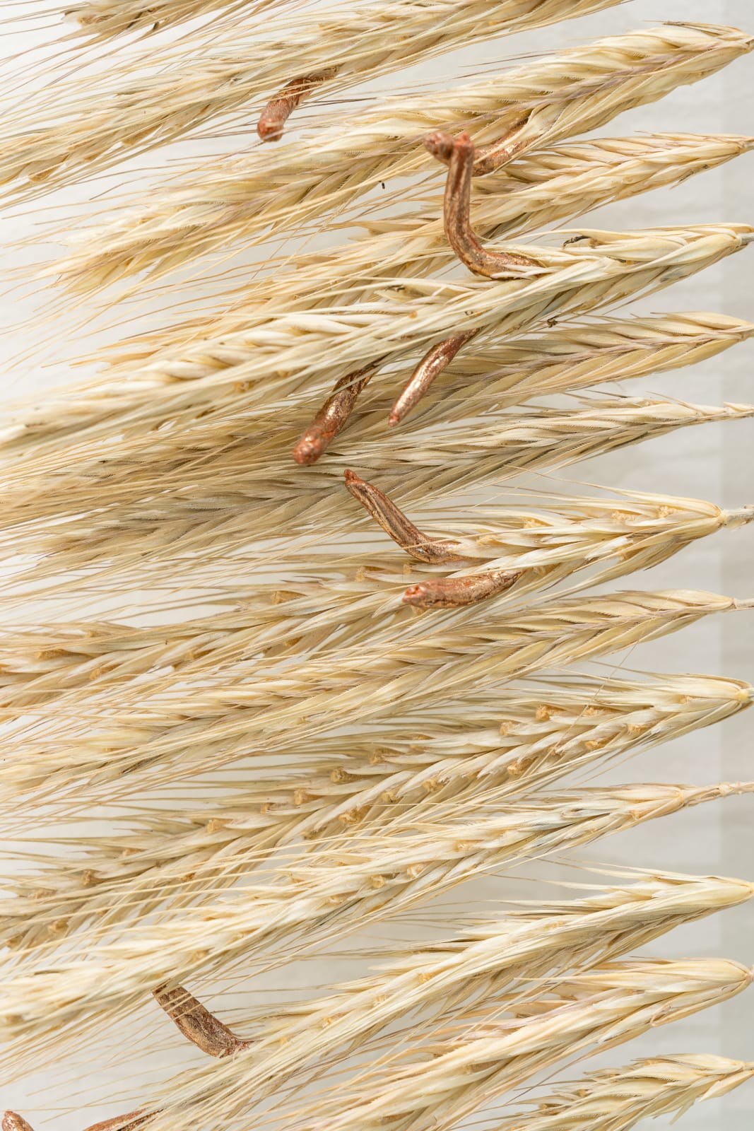 Andreas Greiner, 256_bit, 2024