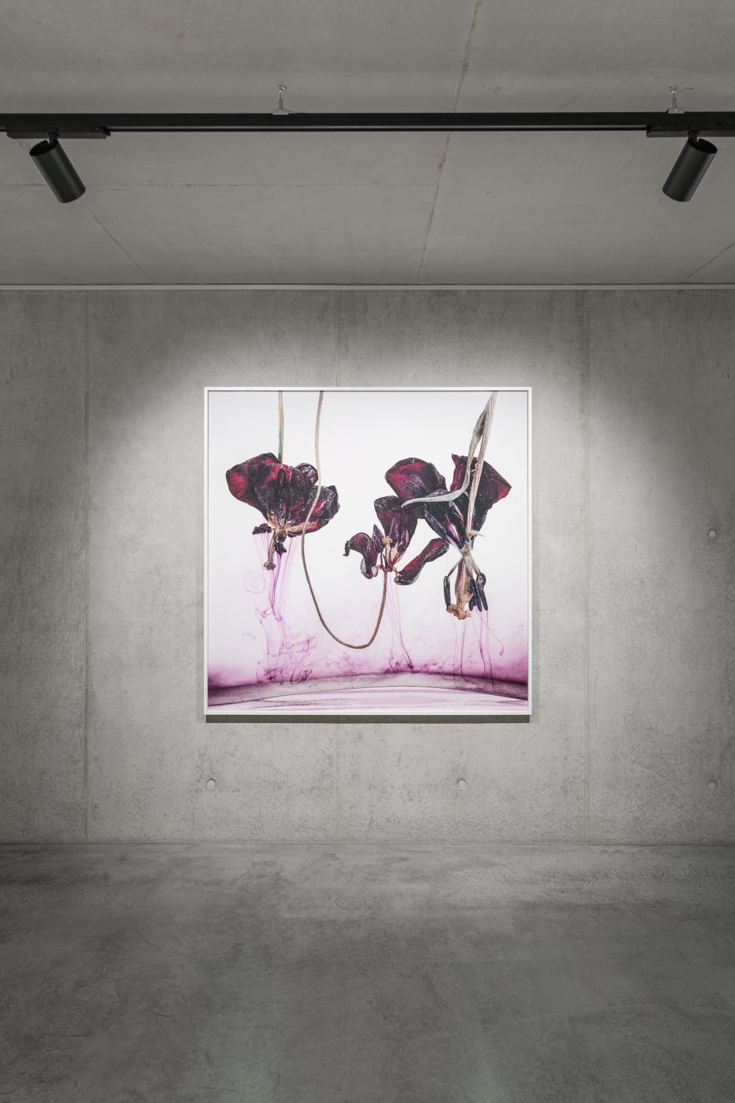 Kathrin Linkersdorff, Floriszenzen 1, 2019