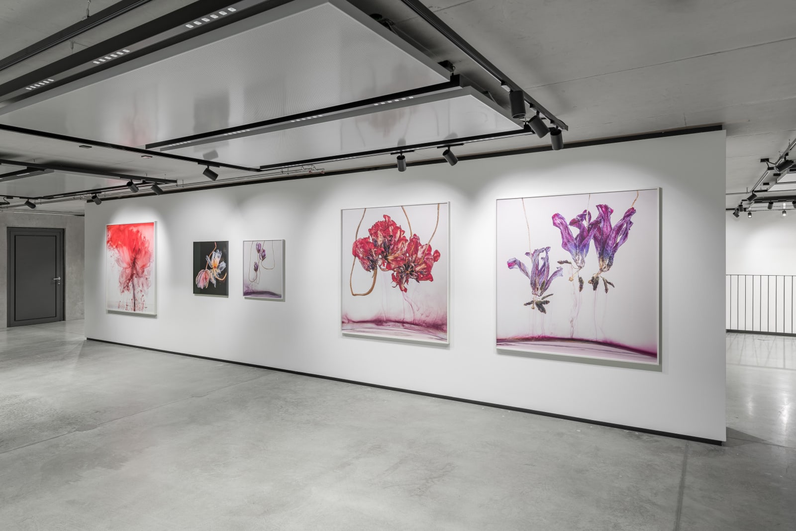 Kathrin Linkersdorff, Floriszenzen 11, 2019