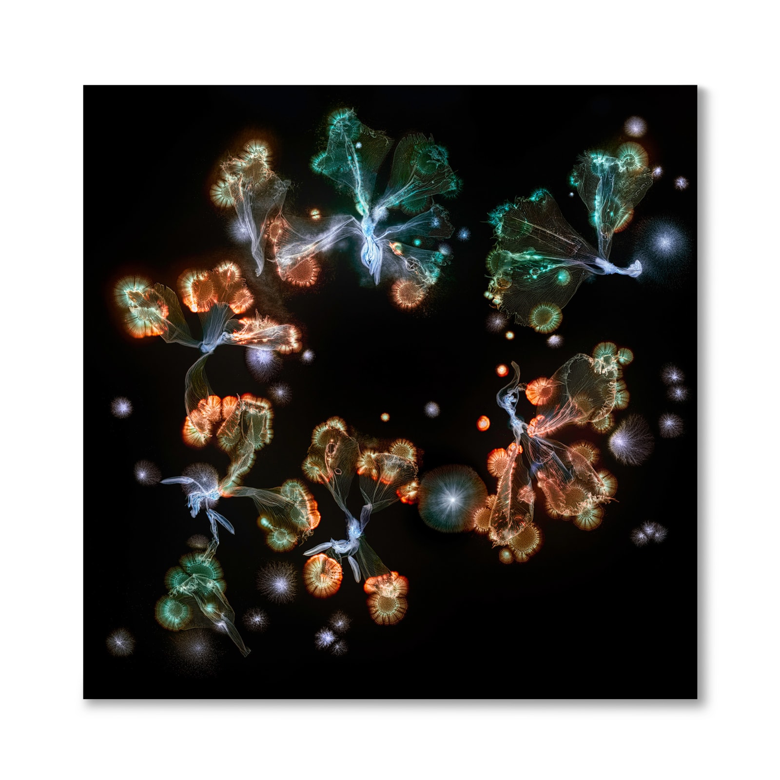 Kathrin Linkersdorff, Microverse III / 1 - 4 , 2025