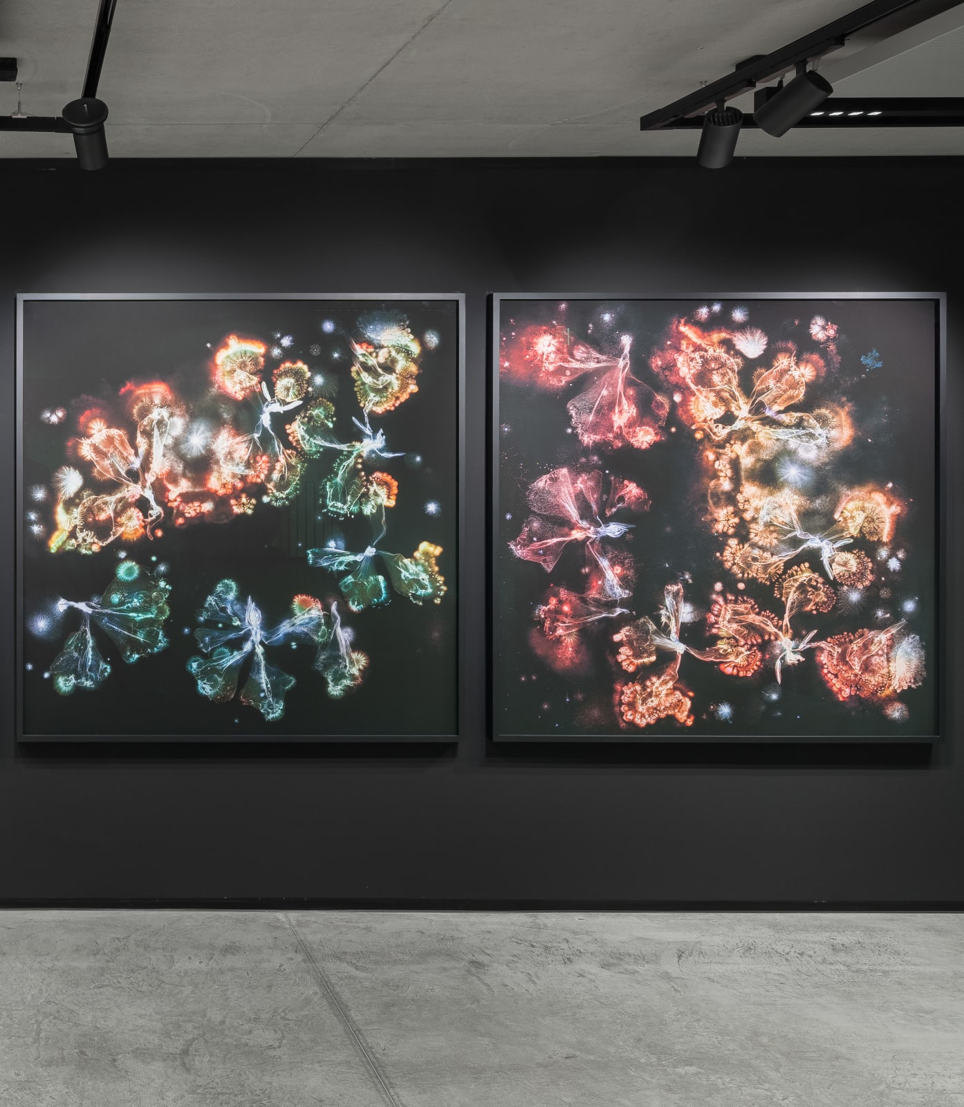 Kathrin Linkersdorff, Microverse III / 1 - 4 , 2025