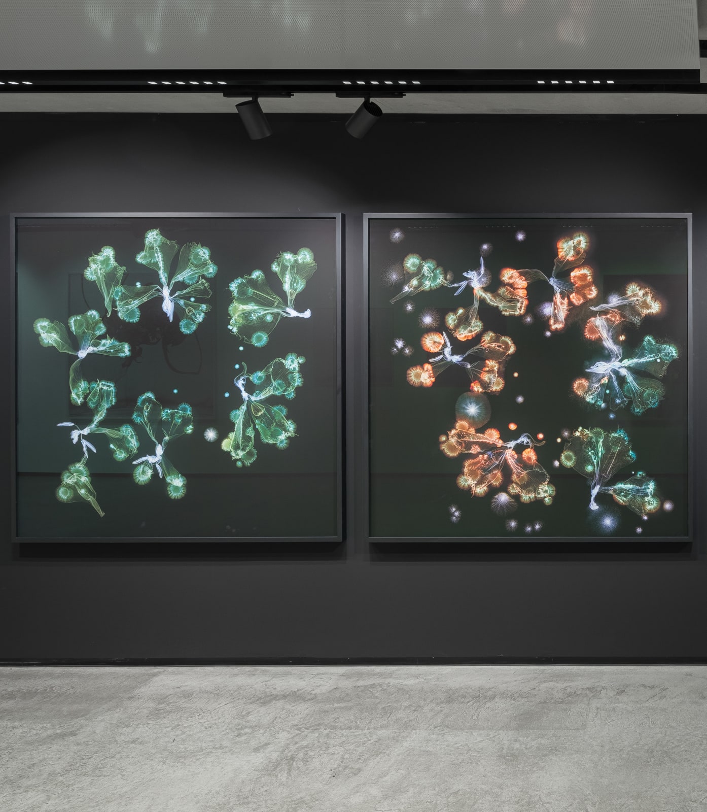 Kathrin Linkersdorff, Microverse III / 1 - 4 , 2025