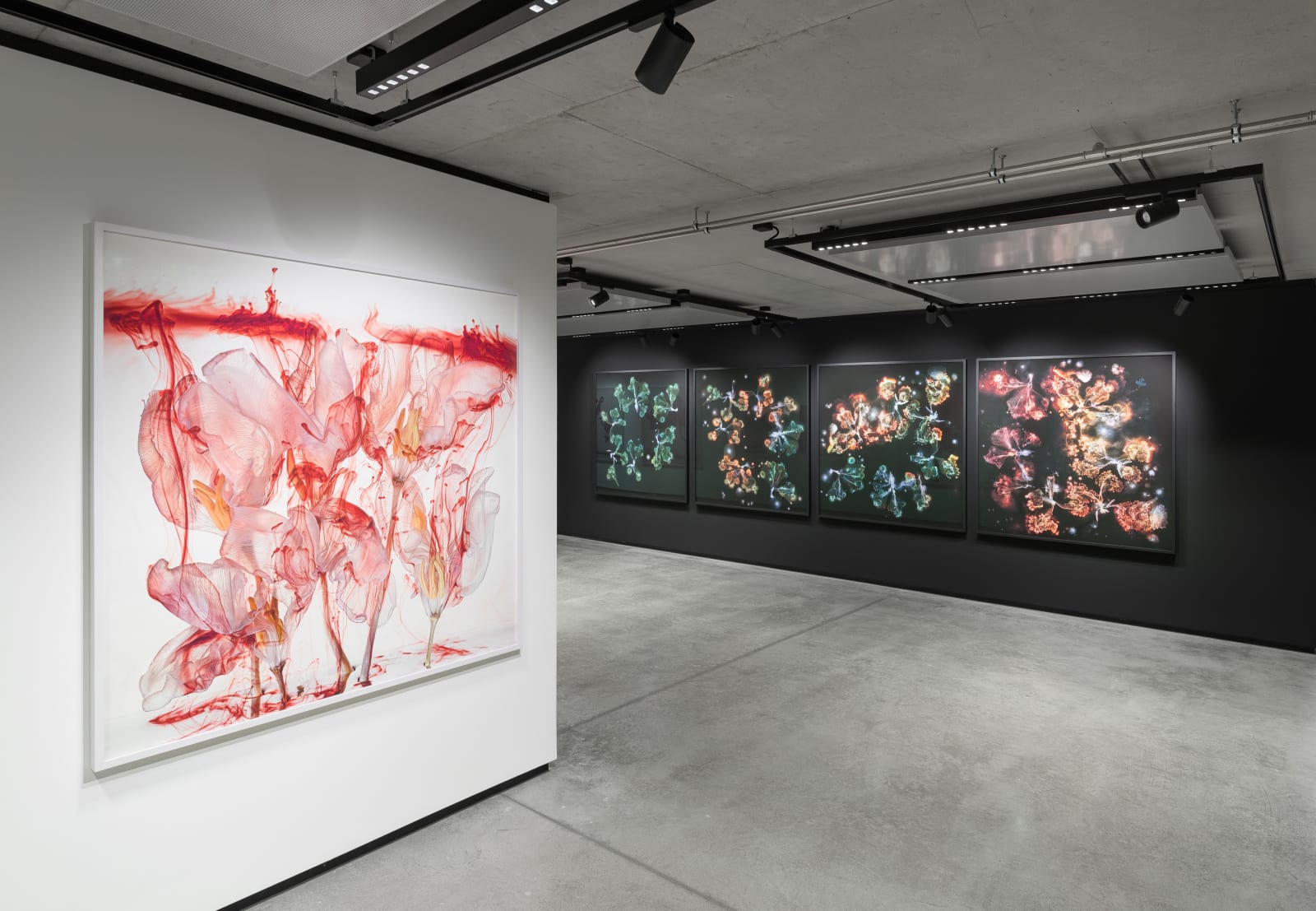 Kathrin Linkersdorff, Fairies VI / 4, 2021