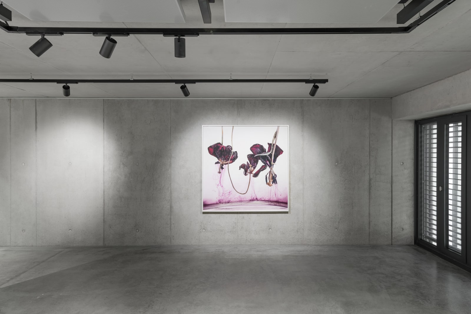 Kathrin Linkersdorff, Floriszenzen 1, 2019