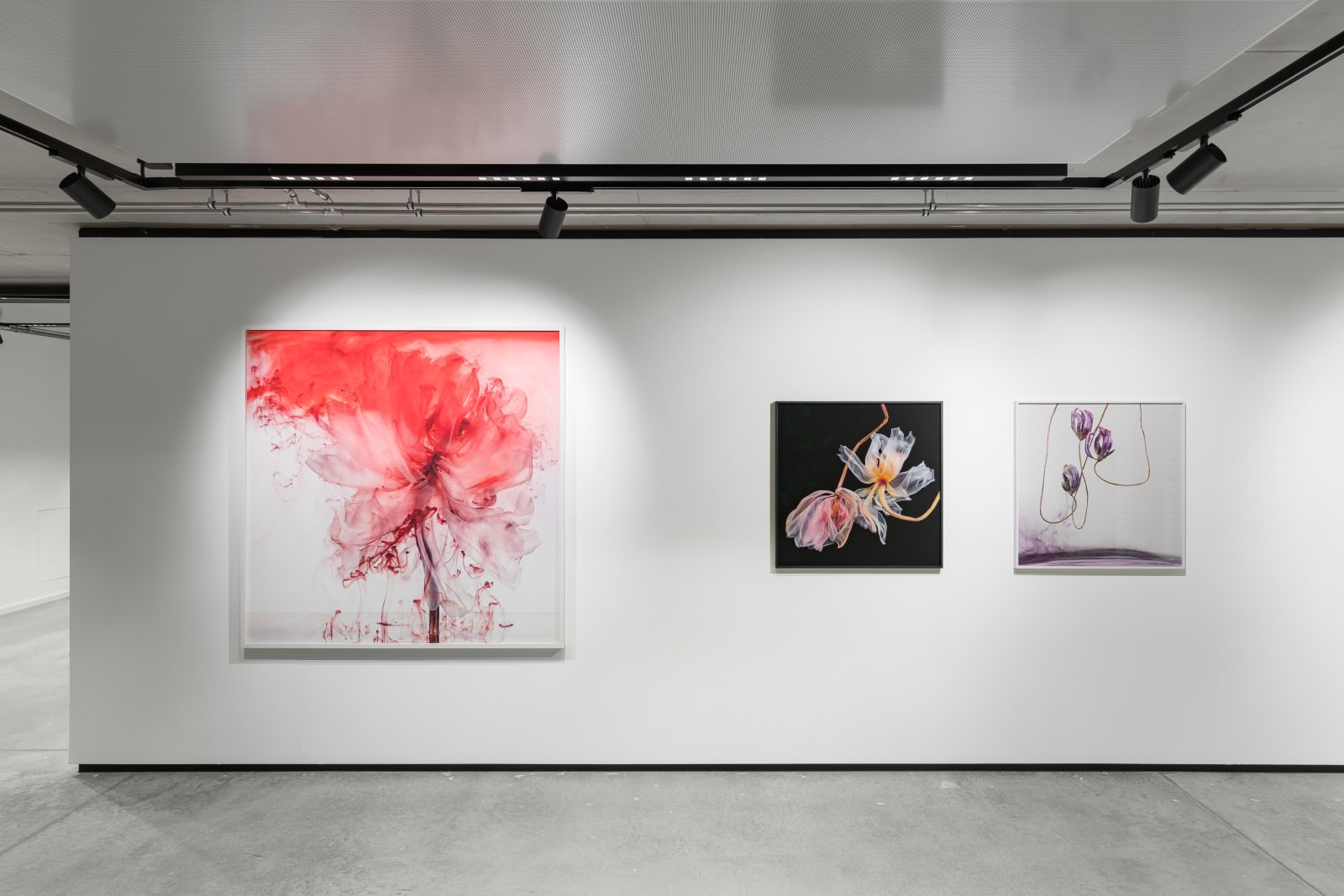 Kathrin Linkersdorff, Fairies I/5, 2020