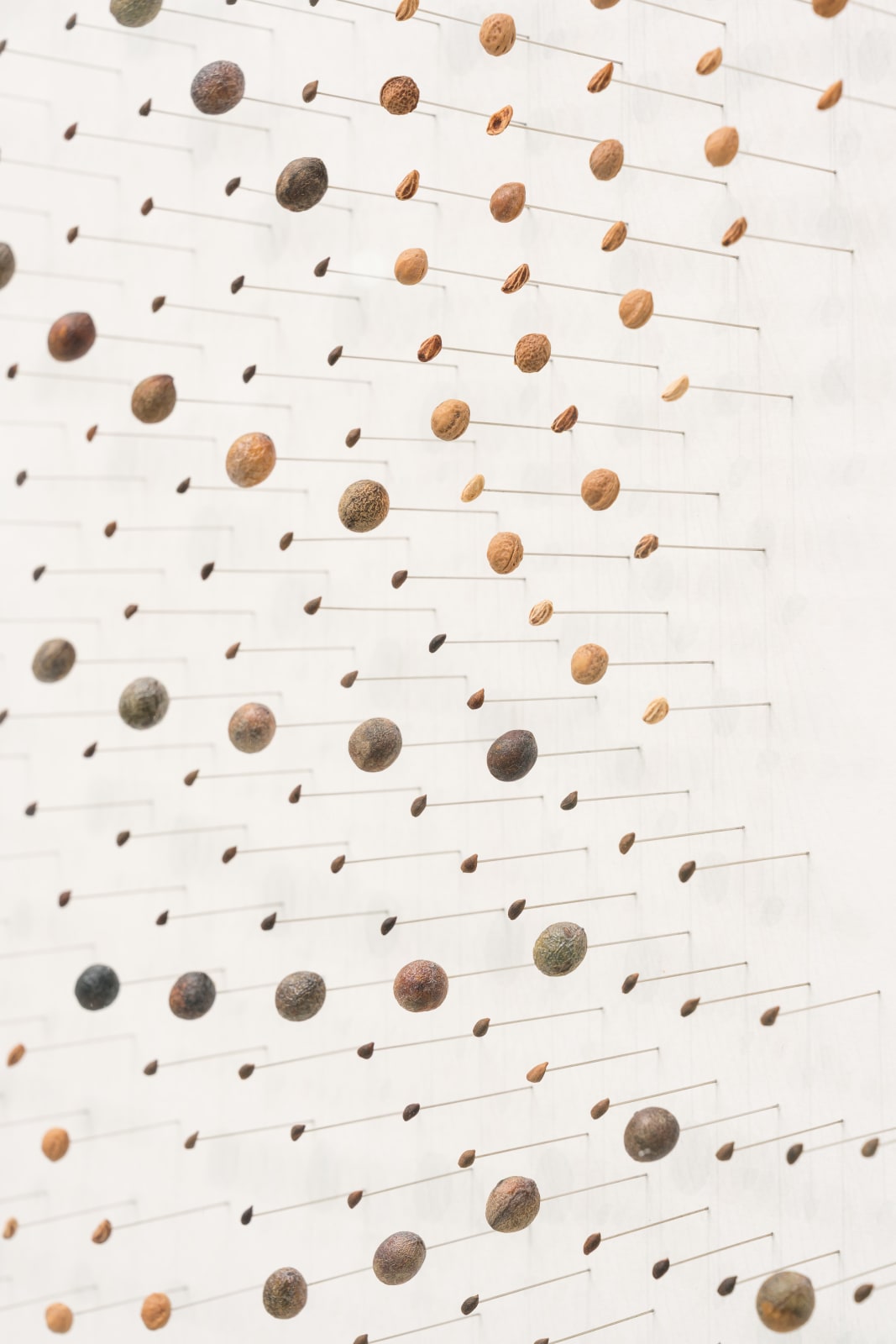 Andreas Greiner, 1710, 2025