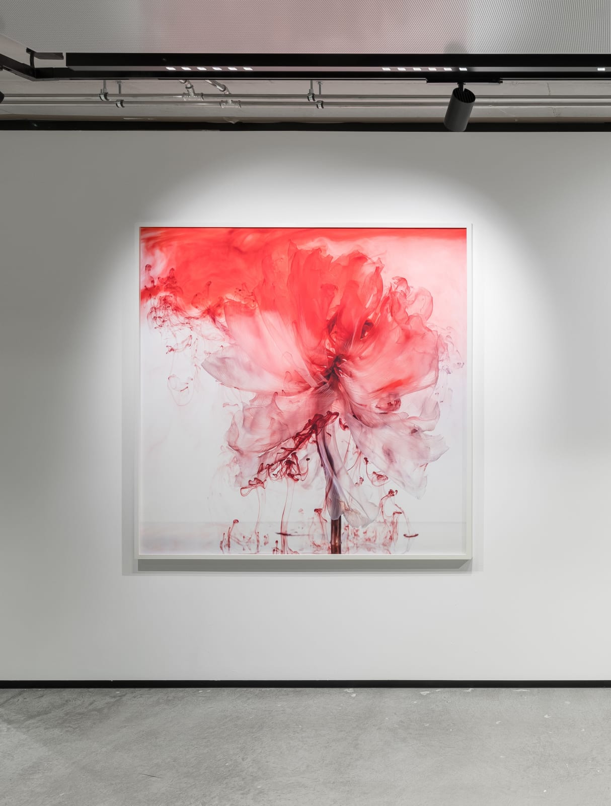 Kathrin Linkersdorff, Fairies VI / 5, 2021