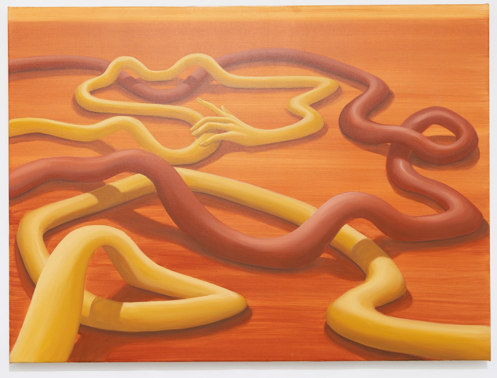 Paula Turmina, Reclaiming the land, 2022