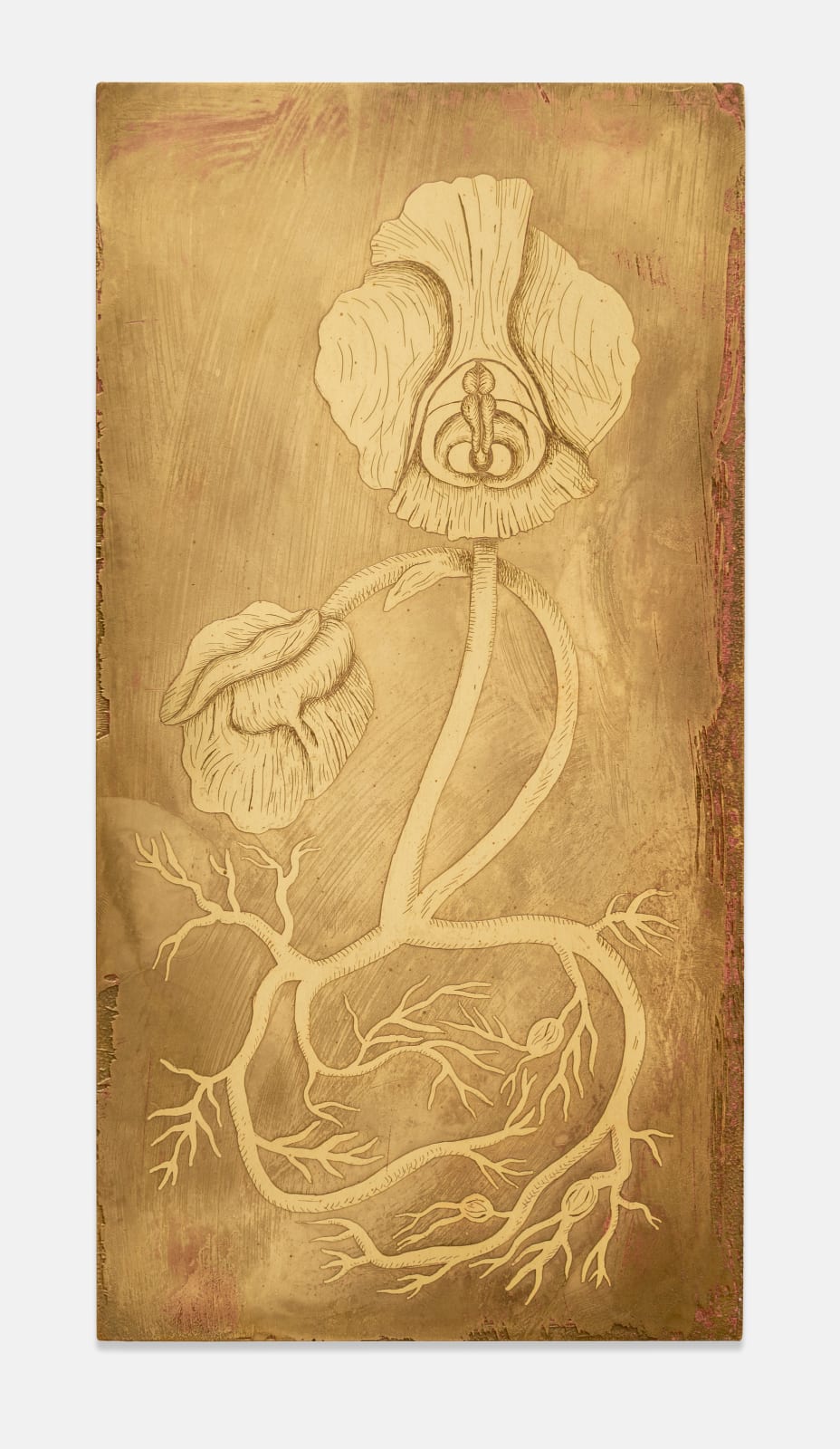 Alicja Biala, Study (5), 2025