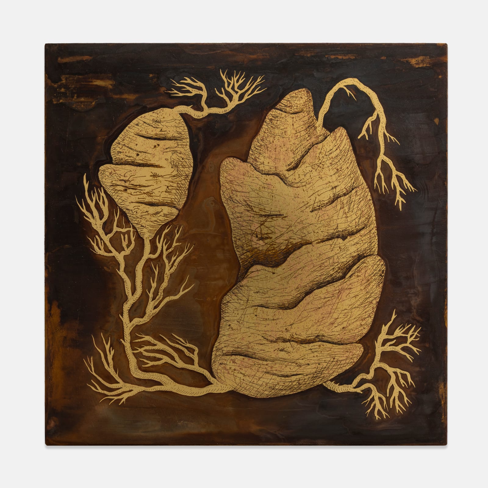 Alicja Biala, Root (Brassica rapa), 2025