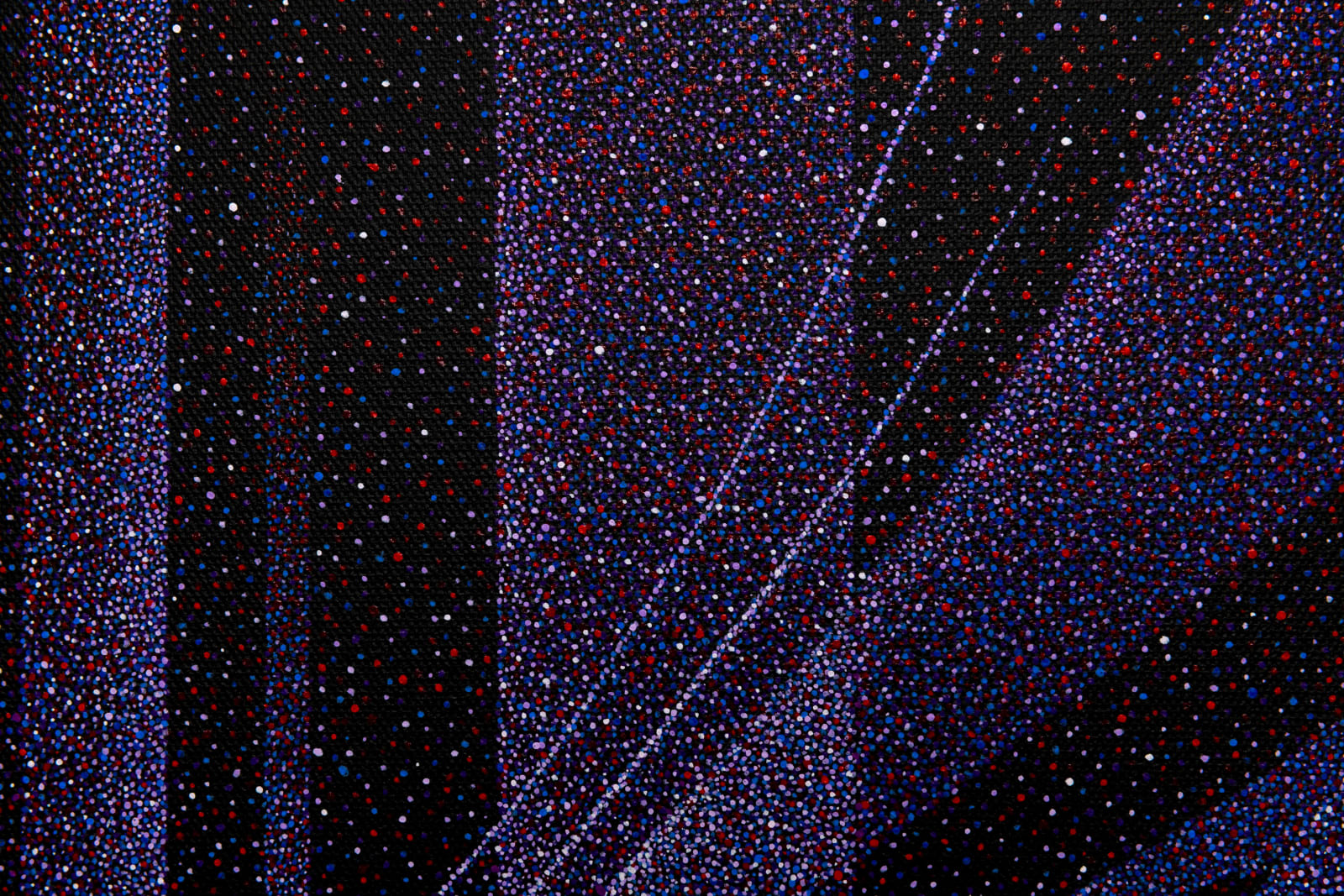 Cairo Dwek, Violet Drift, 2025