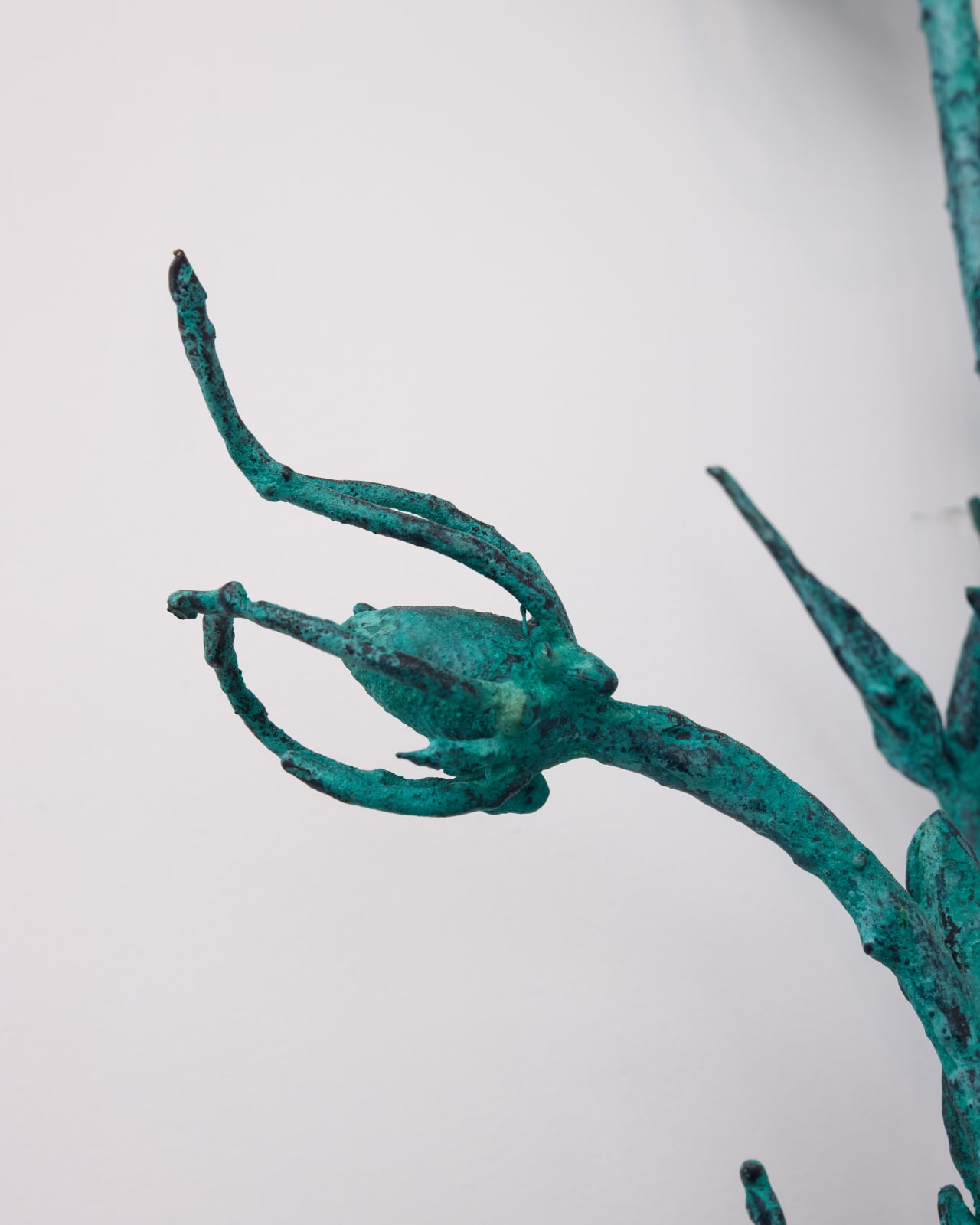 Alicja Biala, Hyperaccumulator (9), 2025