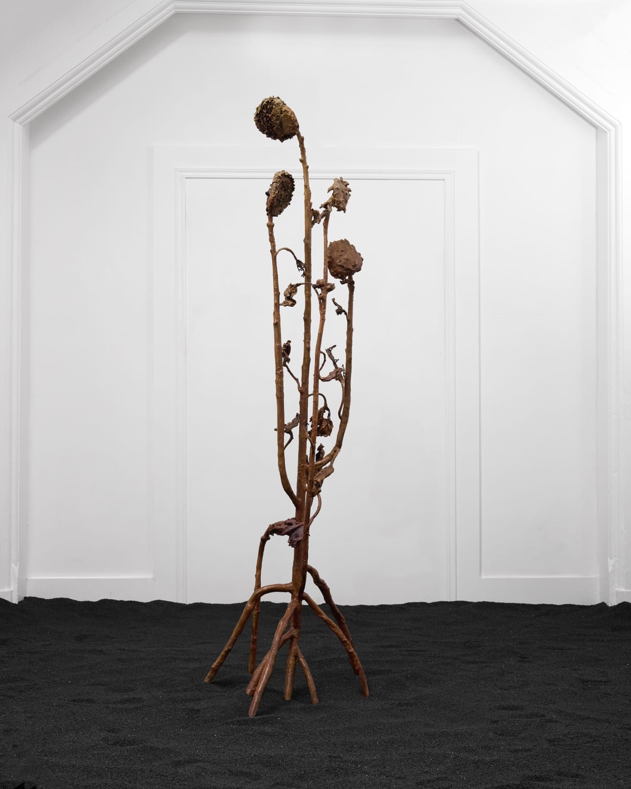 Alicja Biala, Hyperaccumulator VII, 2025