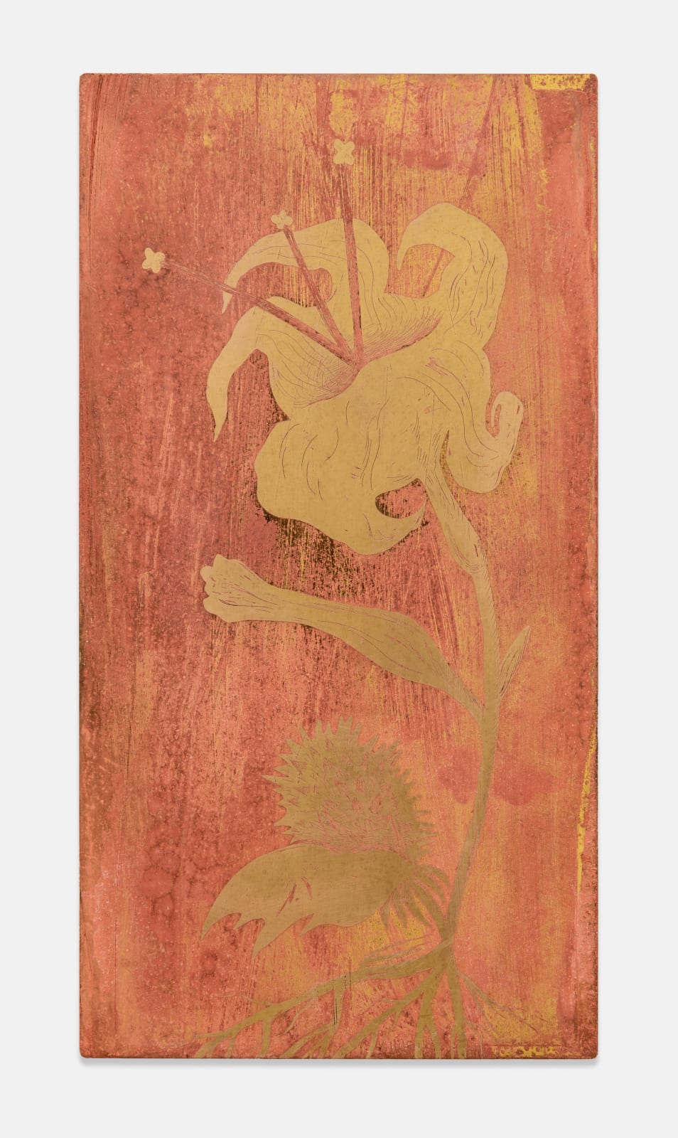 Alicja Biala, Study (7), 2025