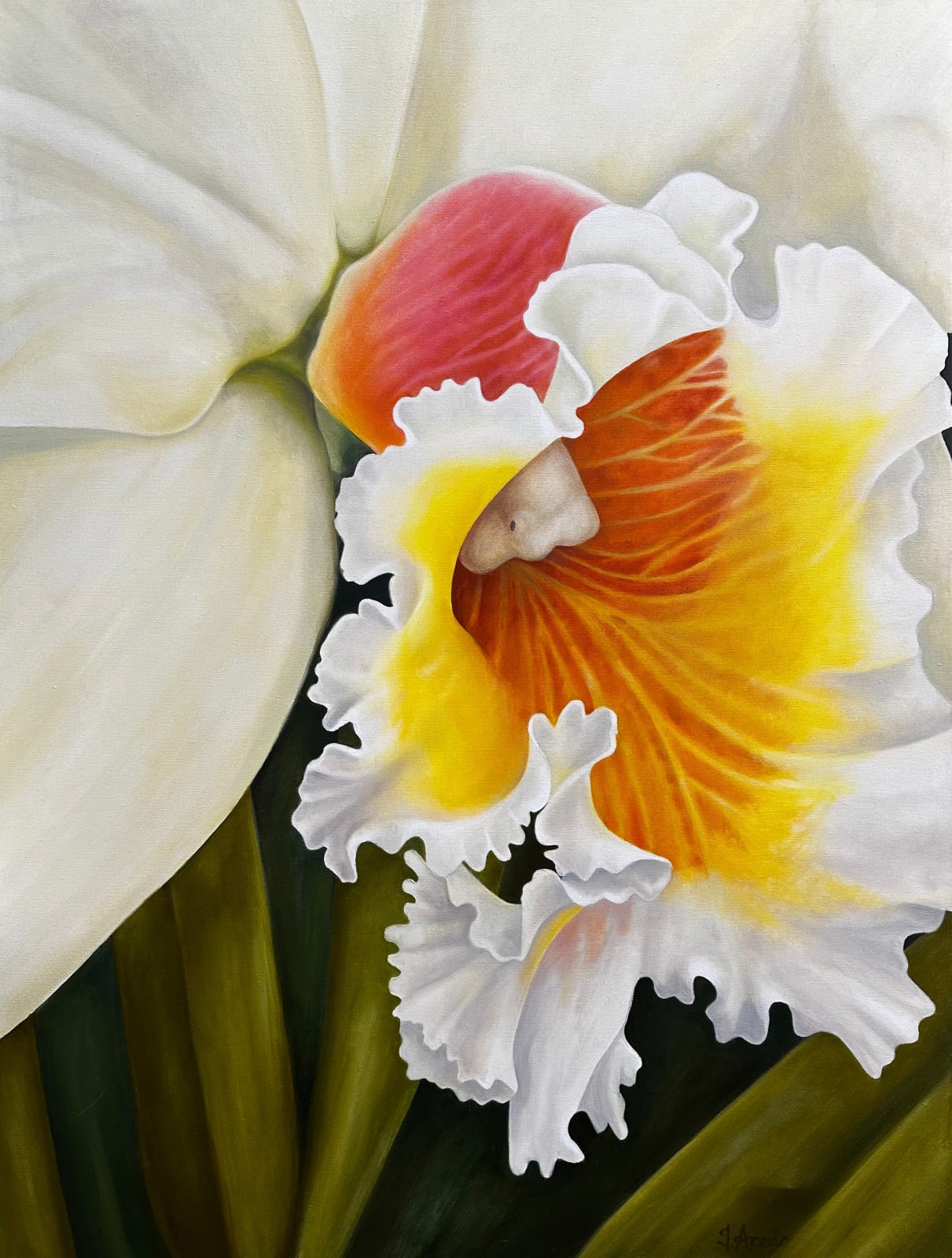 Ingrid Acedo, Orquidea Blanca, 2002