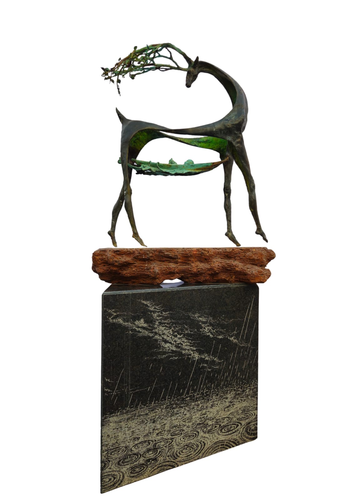 Debashish Bera, DANCING BETWEEN RAIN DROP