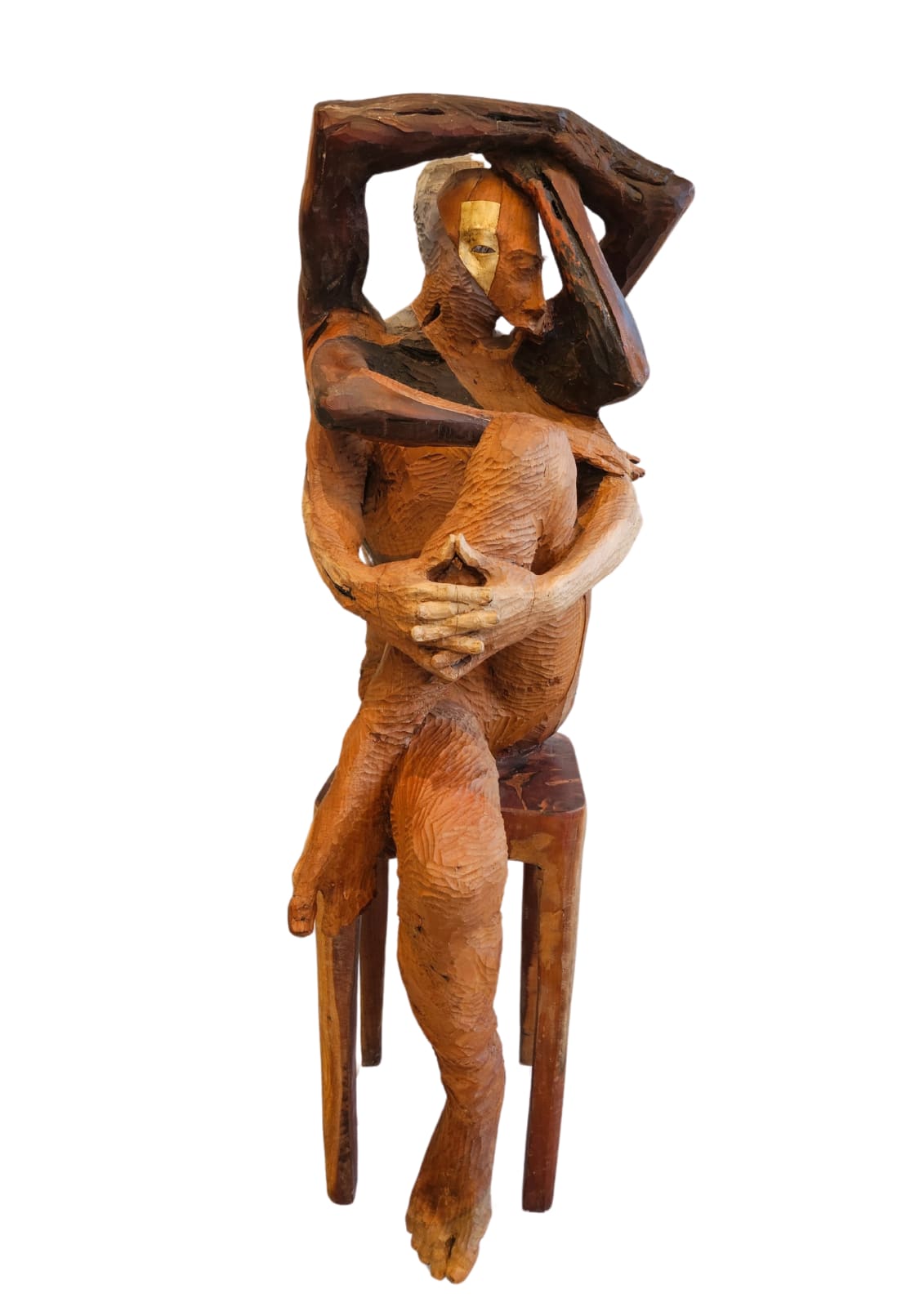 Debashish Bera, ANTORNIHITO