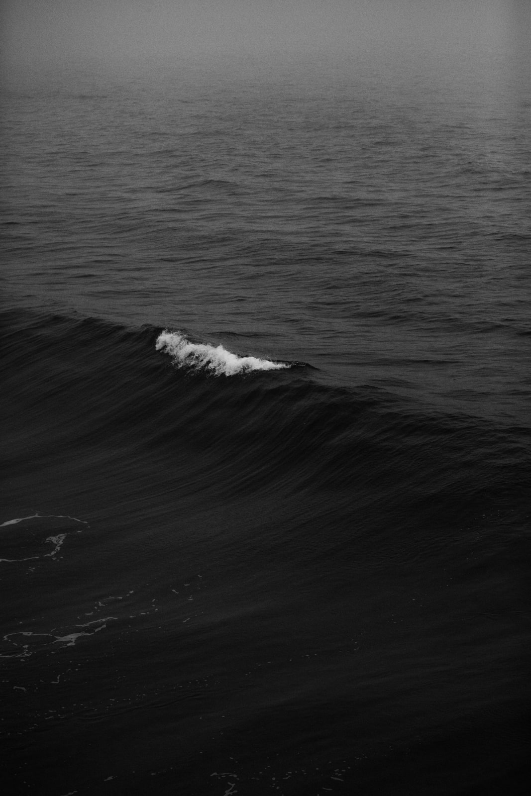 Landon Carter, Waves, 2019