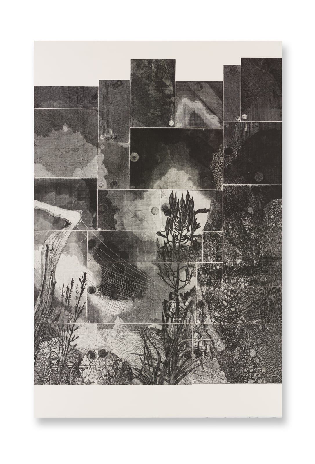 Raymond Arnold, Elsewhere World VII, 2022