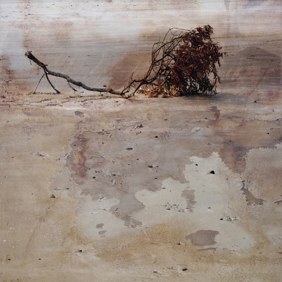 Troy Ruffels, Watersong, 2013