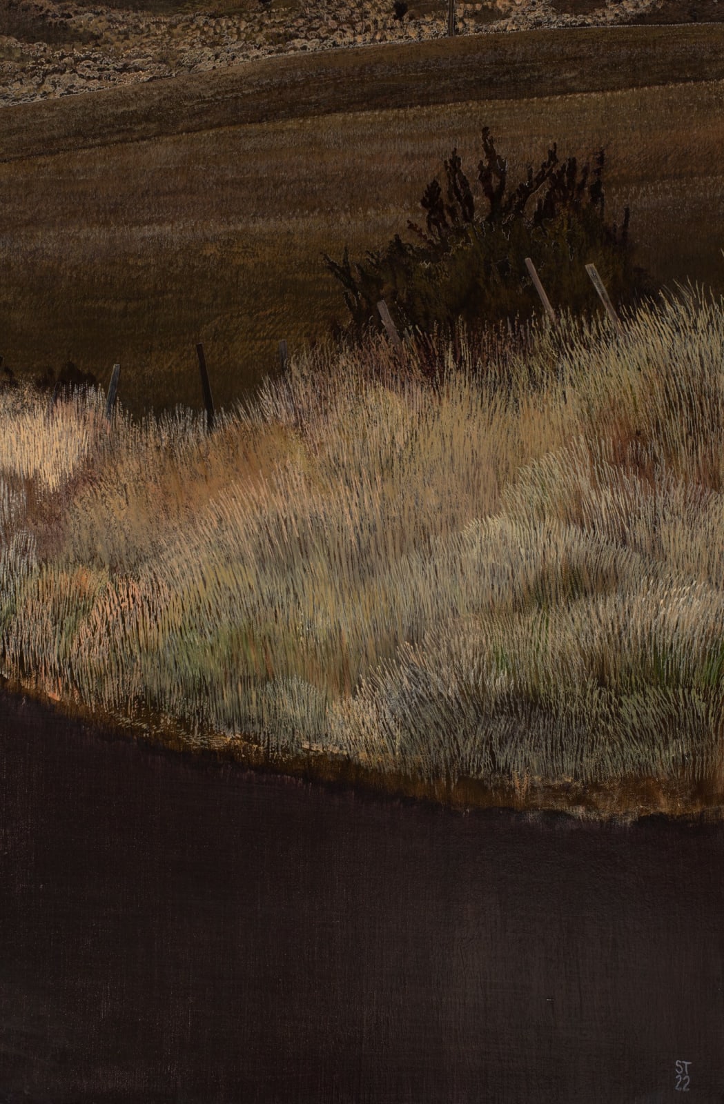 Stephanie Tabram, On Hollow Tree Road, 2023