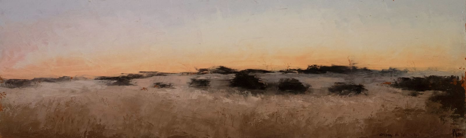 Philip Wolfhagen, Drawing the light in no. 1 , 2024