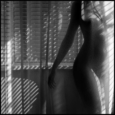 Jane Burton, The Fall 4, 2004