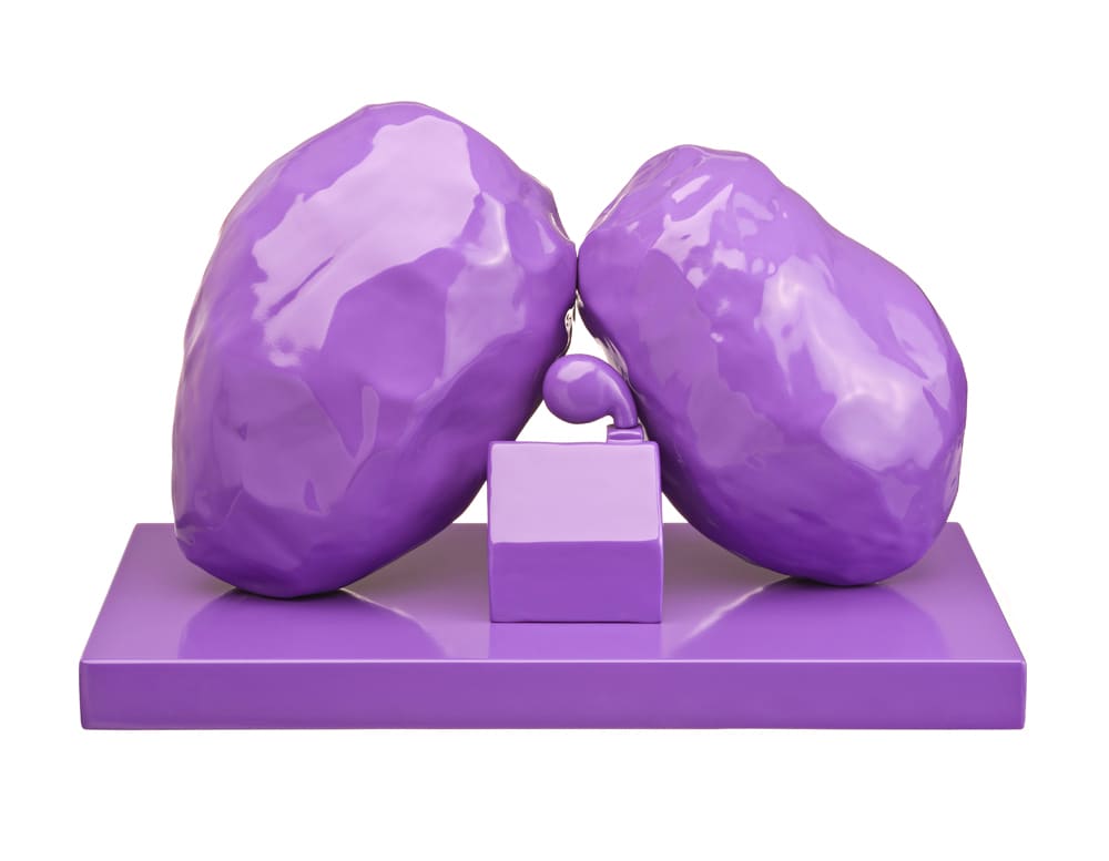 Michael Doolan, Hermits House, 2011