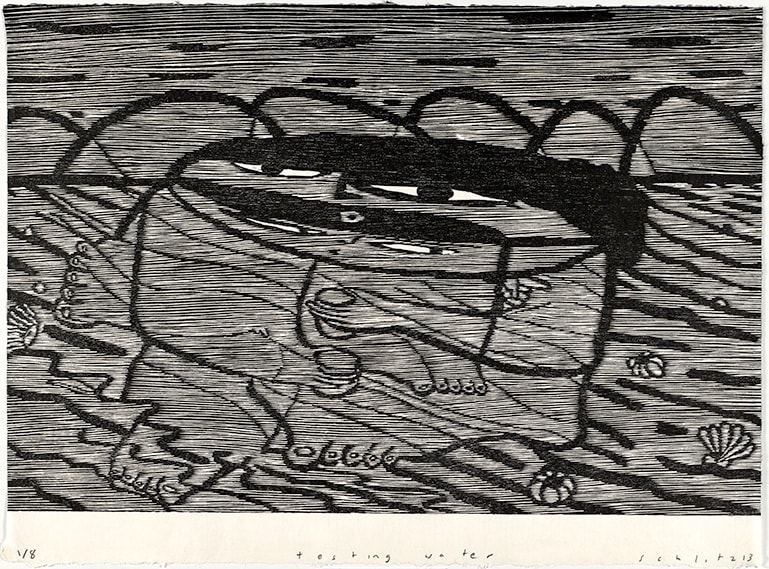 Michael Schlitz, Testing the water, 2013