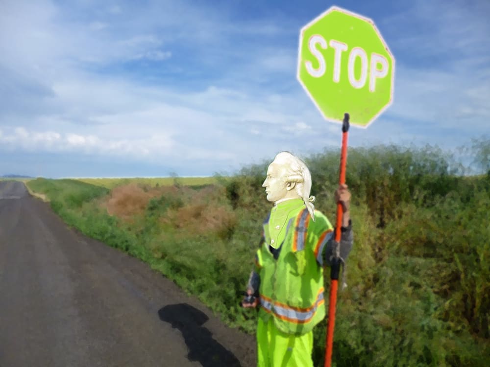 Joan Ross, Stop with fluoro, 2013