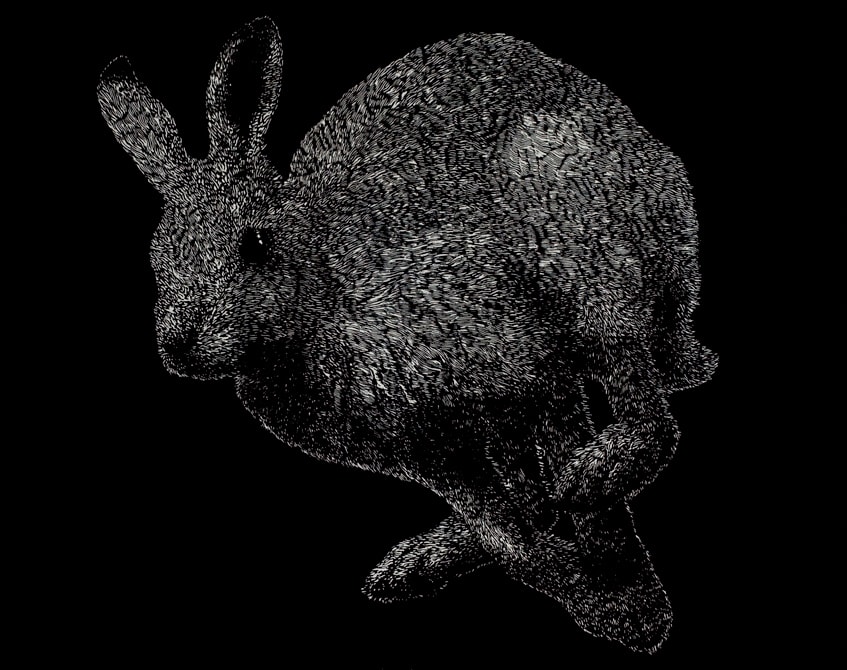 Helen Wright, Hare, 2011
