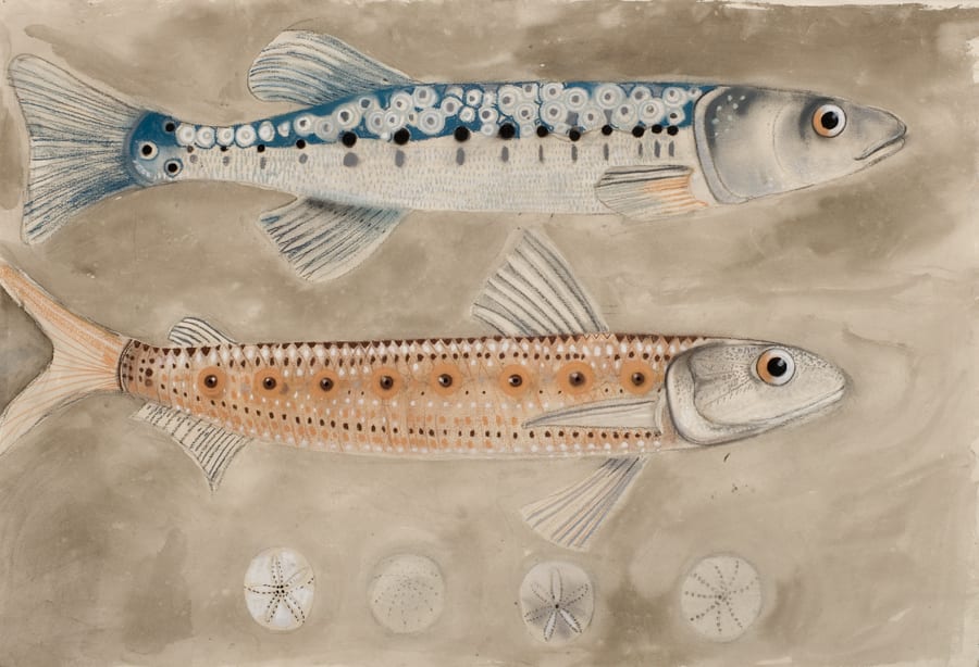 Barbie Kjar, Transit, 2011