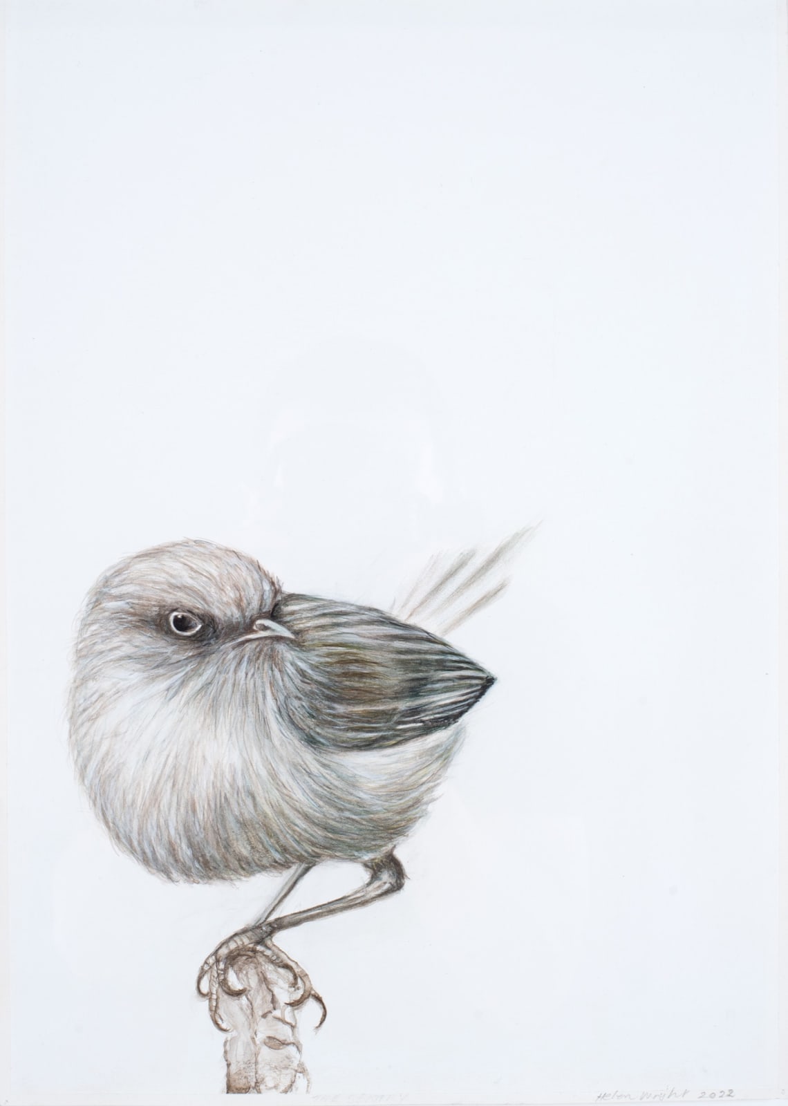 Helen Wright, The Sentry, 2022