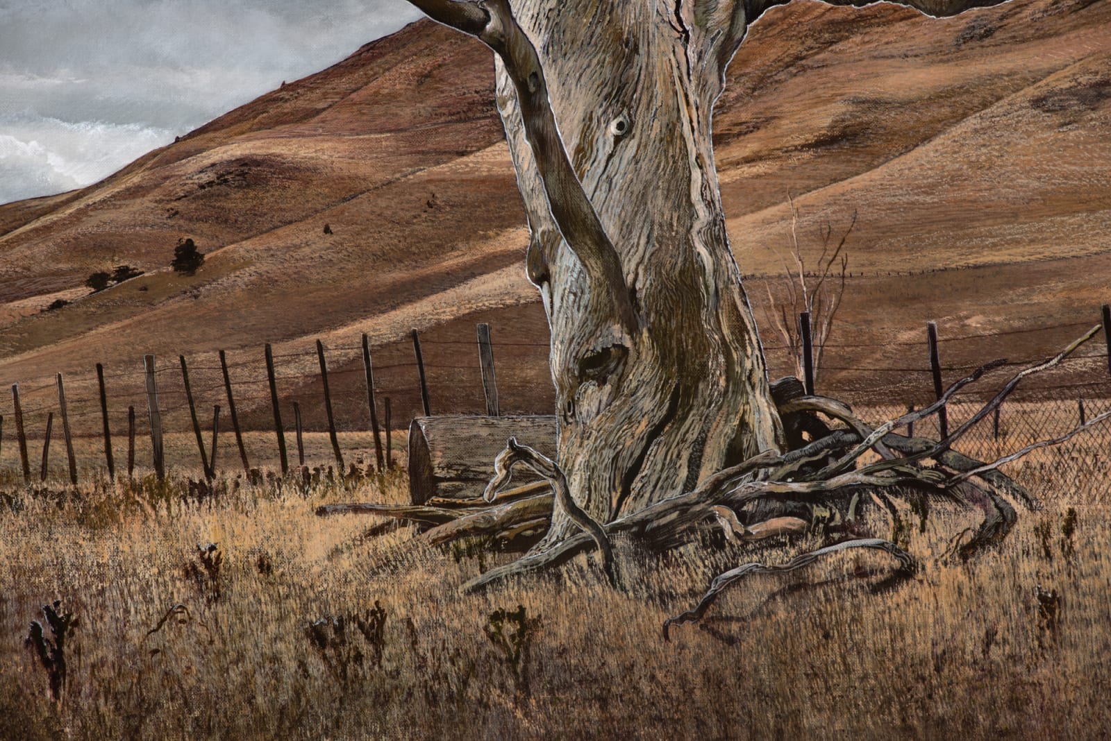 Stephanie Tabram, Near Green Valley, 2020