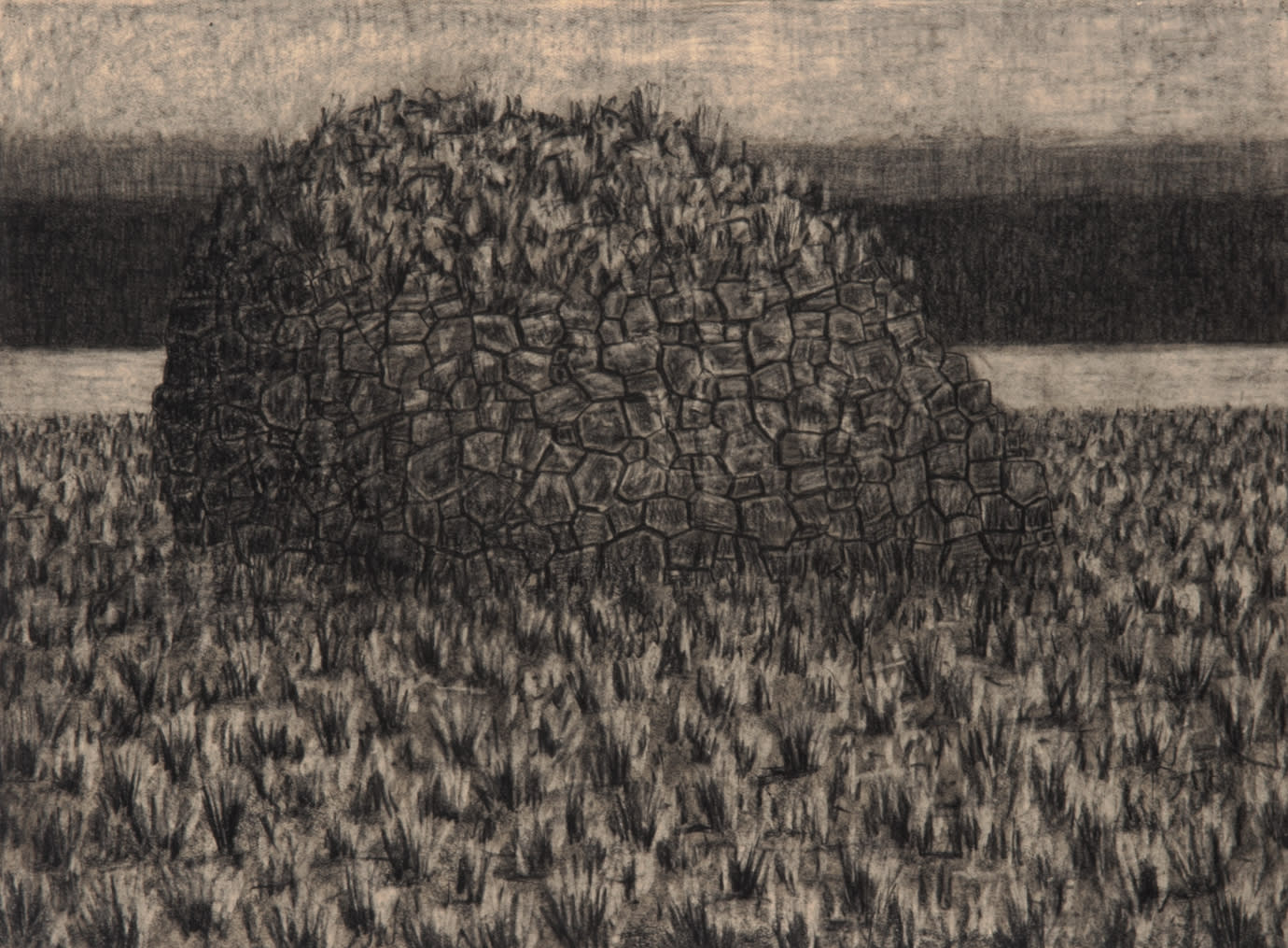 Richard Wastell, Grass Covered Rock, 2014